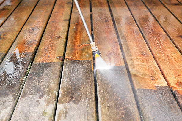 Animal Enclosure Cleaning in Richardson, TX